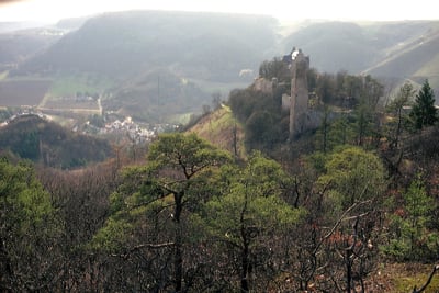 Übersiedlung Wien Altenbamberg