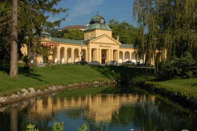 Umzug Wien Bad Vöslau