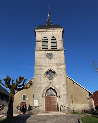 Übersiedlung Wien Brenod