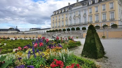 Übersiedlung Wien Brühl