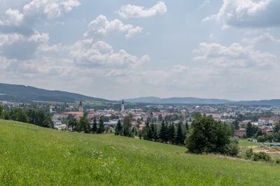 Umzug Wien Freistadt