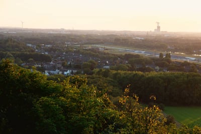 Übersiedlung Wien Hamm