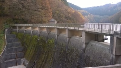 Übersiedlung Wien Heidenburg