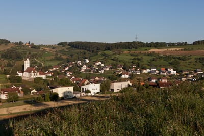 Übersiedlung Wien Herznach