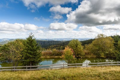 Übersiedlung Wien Kandel