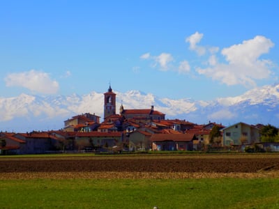 Übersiedlung Wien Palazzo Canavese
