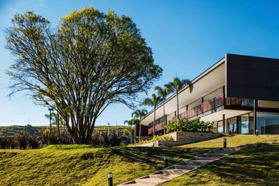 Übersiedlung Wien Reinach