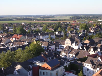 Übersiedlung Wien Rheinbach