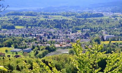 Übersiedlung Wien Rueti