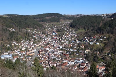 Übersiedlung Wien Schramberg