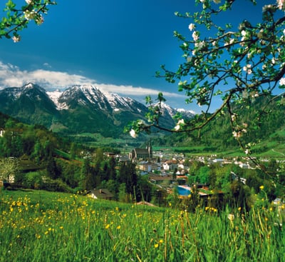 Umzug Wien St. Johann im Pongau
