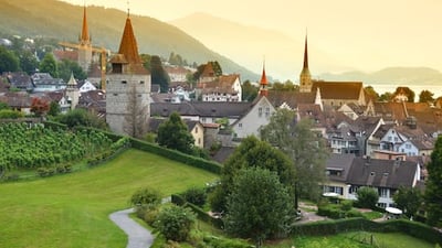 Übersiedlung Wien Steinhausen