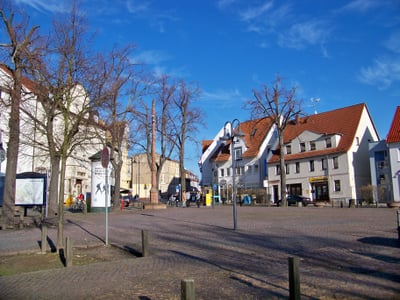 Übersiedlung Wien Taucha