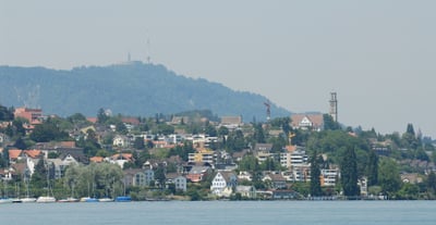 Übersiedlung Wien Thalwil