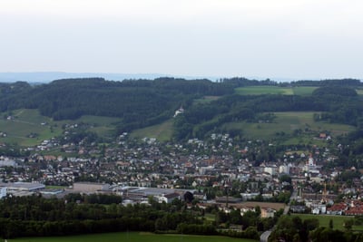 Übersiedlung Wien Weinfelden