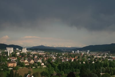 Übersiedlung Wien Wettingen