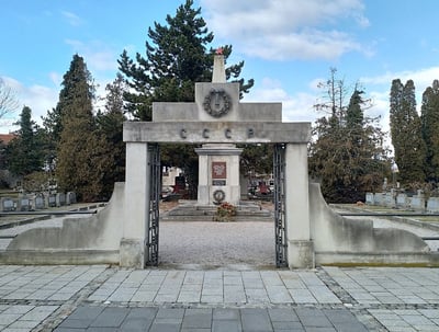 Umzug Wien Wiener Neustadt