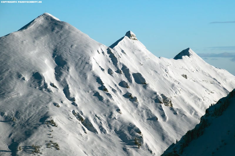 Bannerbild für Umzug von Wien nach Bregenz