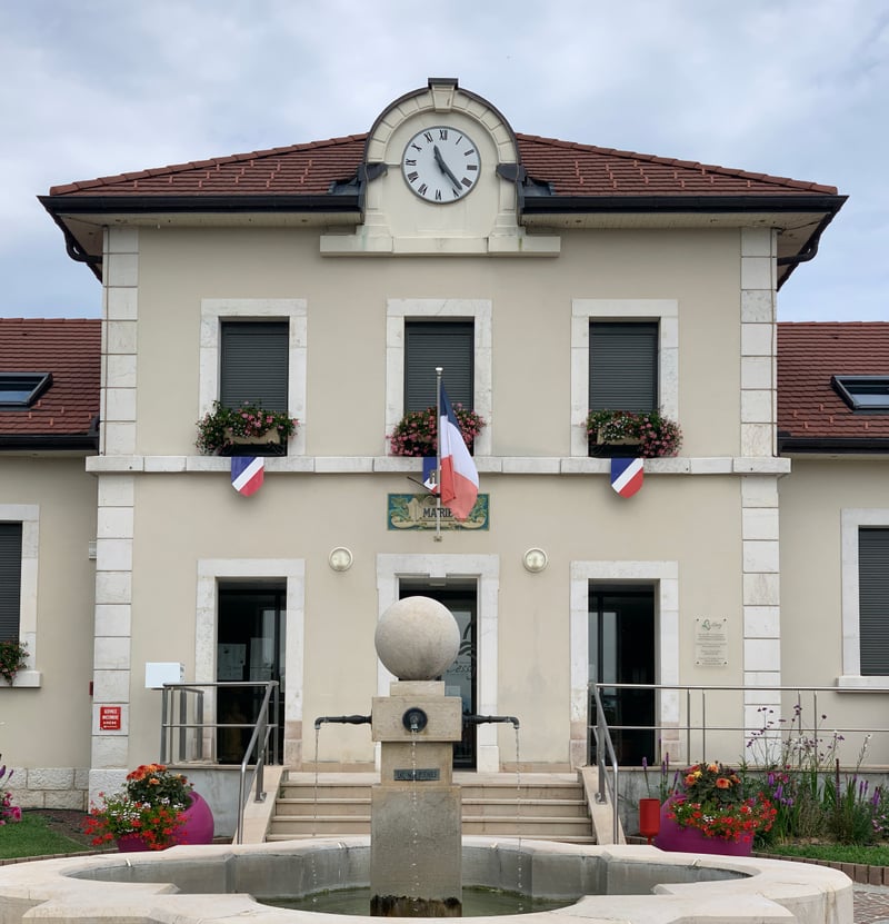 Bannerbild für Umzug von Cessy nach Wien