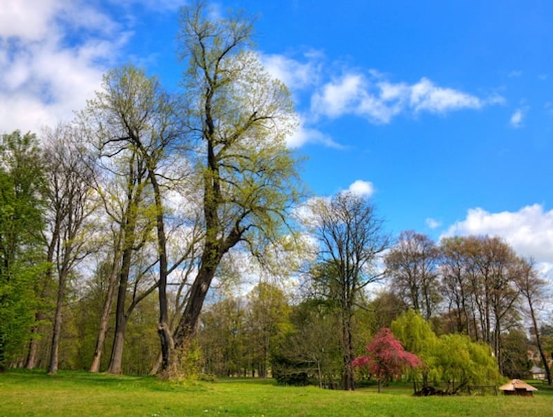 Bannerbild für Umzug von Wien nach Dahlen
