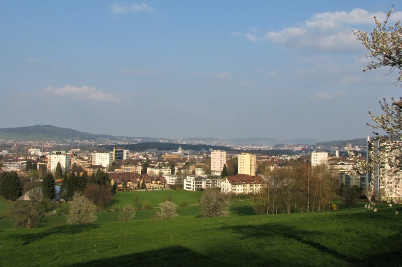 Bannerbild für Umzug von Wien nach Dietikon