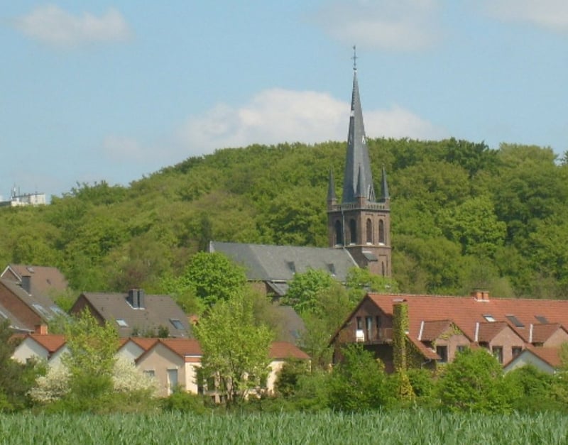 Bannerbild für Umzug von Wien nach Erkrath