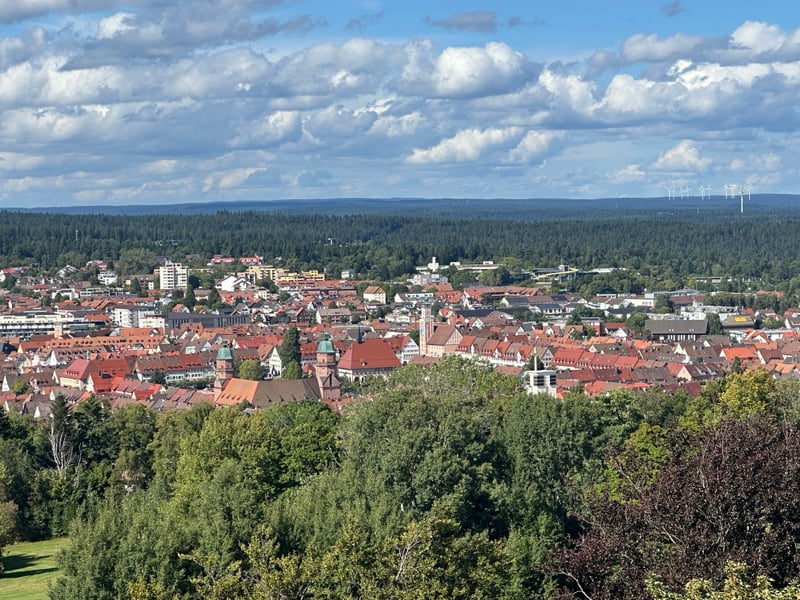 Bannerbild für Umzug von Freudenstadt nach Wien