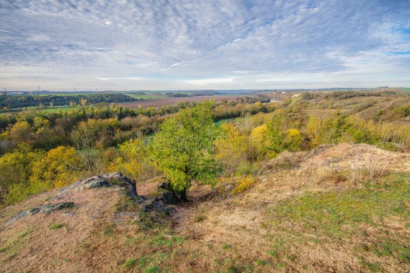 Umzug Wien ↔ Halle (Saale)