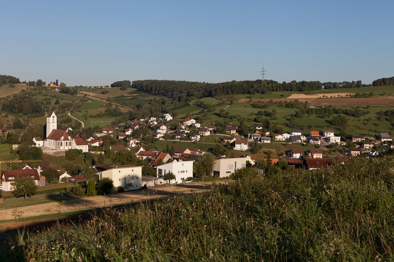 Bannerbild für Umzug von Wien nach Herznach