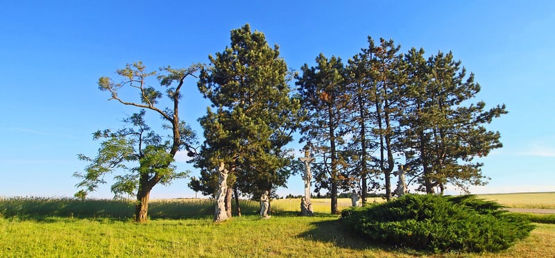 Bannerbild für Umzug von Wien nach Horn