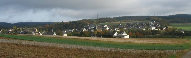 Bannerbild für Umzug von Laudert nach Wien
