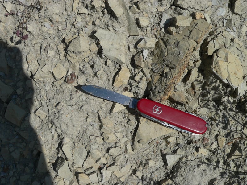 Bannerbild für Umzug von Marl nach Wien