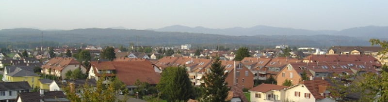 Bannerbild für Umzug von Moehlin nach Wien