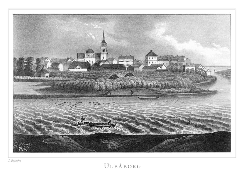 Bannerbild für Umzug von Oulu nach Wien