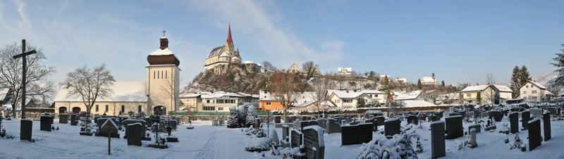 Bannerbild für Umzug von Wien nach Rankweil