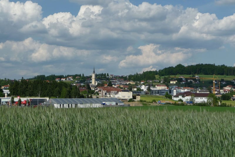 Bannerbild für Umzug von Wien nach Rohrbach in Oberösterreich