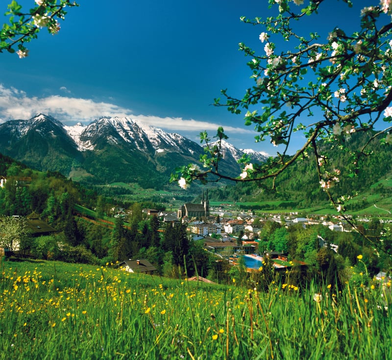 Bannerbild für Umzug von St. Johann im Pongau nach Wien