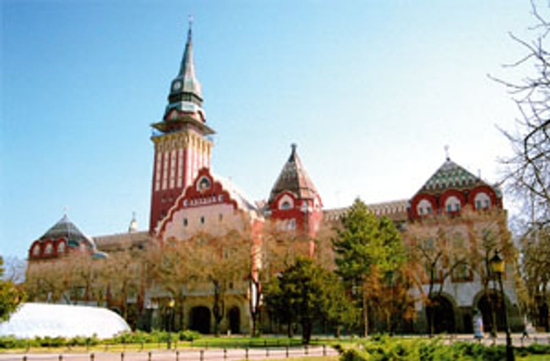 Bannerbild für Umzug von Wien nach Subotica