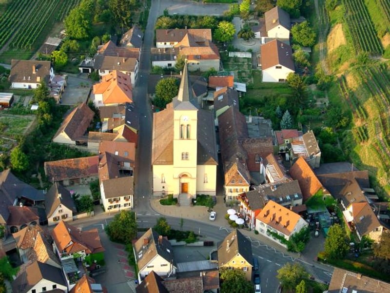 Bannerbild für Umzug von Wien nach Vogtsburg Im Kaiserstuhl