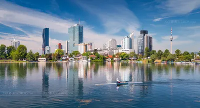 Donaustadt - Umzug Wien